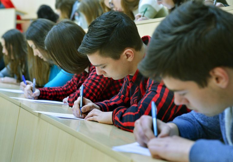 Kai metai po metų švietimo sistemą leidžiama drožti politikos planktonui…