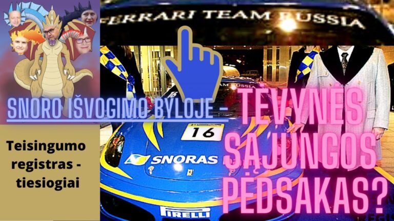 Snoro išvogimo tyrimą stabdė konservatorių asmeniniai interesai?