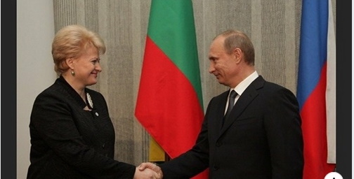 Edvardas  Čiuldė. Ar Dalia Grybauskaitė jau pradeda rinkiminę kovą dėl prezidento posto?