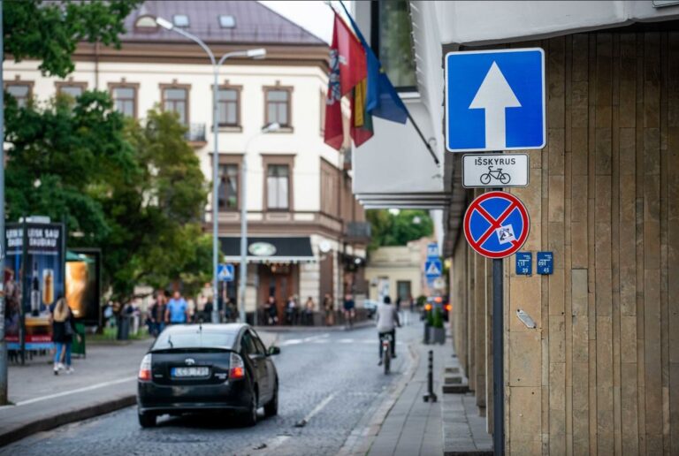 Vytautas Sinica. Prieš vis brangesnį parkavimą Vilniuje