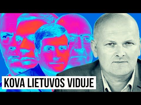 Apie karo grėsmę. Kova šalies viduje. Vaidotas Malinionis