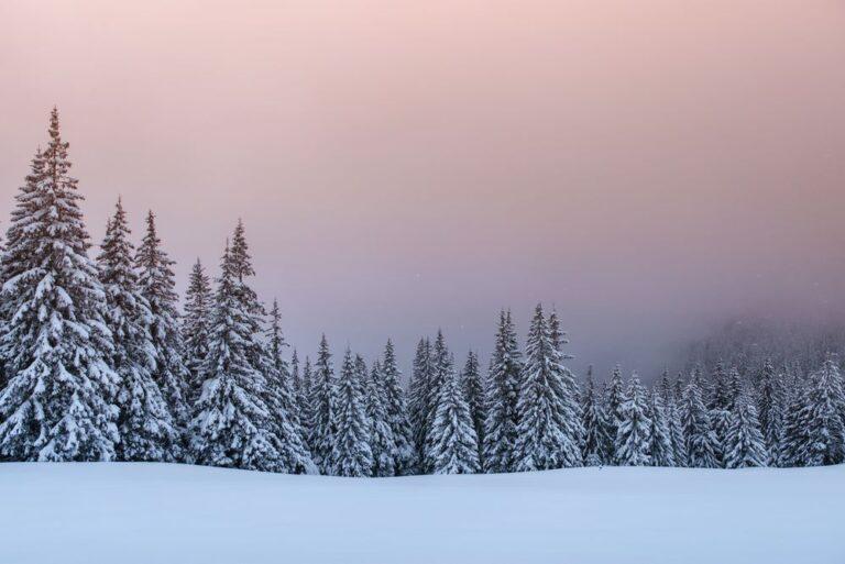 Kalėdų melancholijos priežastis ir vaistas nuo jos