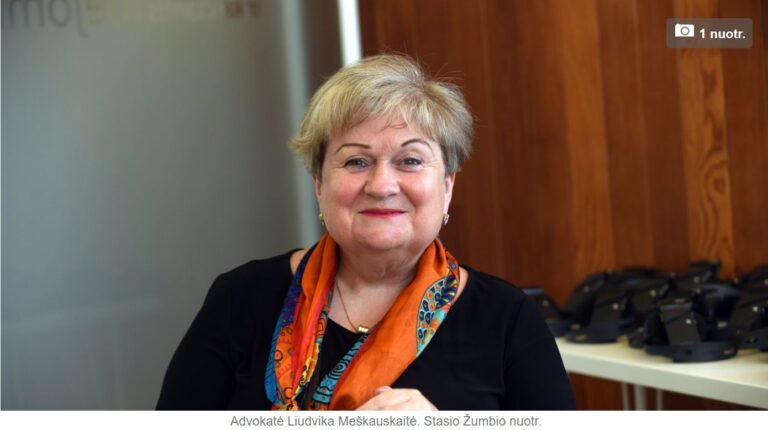 Advokatė L. Meškauskaitė – apie sąžinę ir politikų karmą